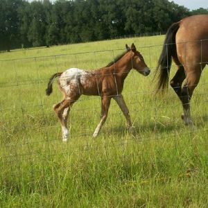 Meet your Posher, Lynda